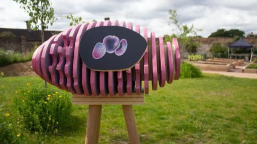 Pollinator Pavilions